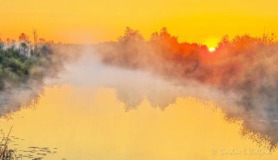 Irish Creek Steam Fog At Sunrise 90D65404-8