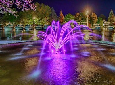 Centennial Park Fountain At Night 90D65097-03