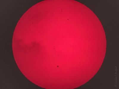 20230606 Red Sun & Sunspots DSCN133238