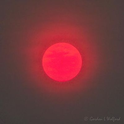 Red Sun Through Wildfire Smoke DSCN135949