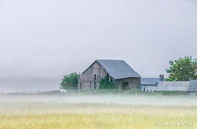Old Barn Beyond Ground Fog 90D72135-8