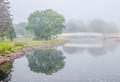 Duck Island Footbridge On A Foggy Morning 90D74973