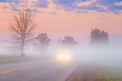 Car In Ground Fog At Sunrise 90D79461
