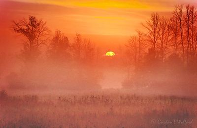 Sun Rising Beyond Ground Fog 90D81148
