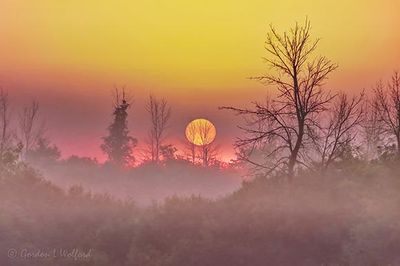 Sun Rising Beyond Ground Fog 90D81893-7