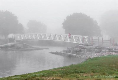 Duck Island Footbridge In Morning Fog 90D83282