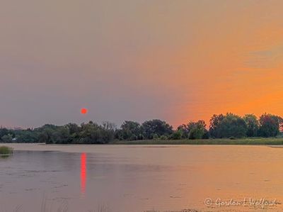 Otter Creek Gallery