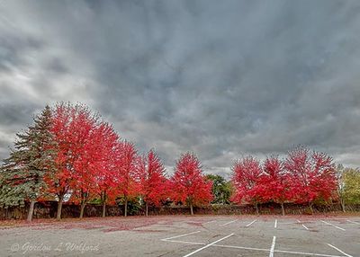 Old Stone Arch Dam Autumn Trees (iPhone14-2445)