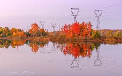 Fall Foliage With Hydro Lines & Towers 90D90023