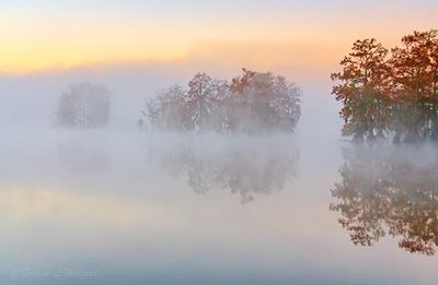 Fog On Lake Martin At Sunrise 26081