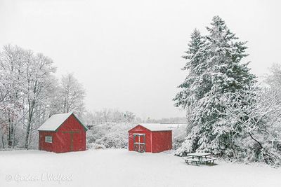Snowy Red Sheds 90D95418