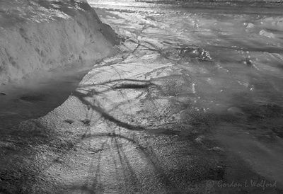 Shadows On Icy Driveway 90D100970BW