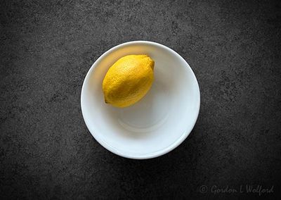 When Life Gives You A Lemon, Make it a Photo Op (iPhone14-2948)