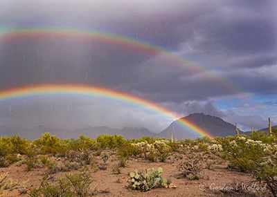 Sonoran Desert Double Rainbow 76808
