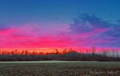 Sunrise Beyond Winter Field 90D105631