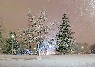 Spring Snowstorm At Night 90D107345