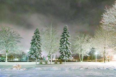 Centennial Park At Night In Spring Snowstorm 90D107515