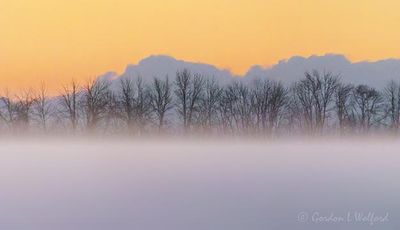 Cloud Mountains Beyond Ground Fog At Sunrise 90D109997