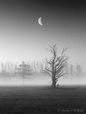 Moon Beyond Ground fog 90D109978BW