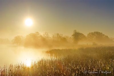 Rising Sun Beyond Foggy Otter Creek 90D110593