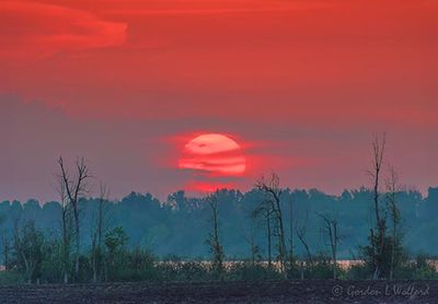 Clouded Sunrise Beyond Distant Rideau Canal 90D111984