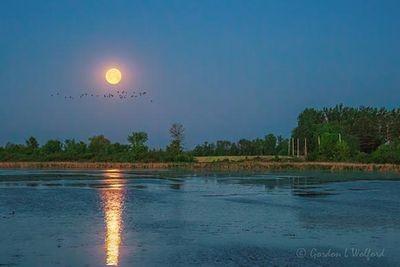 Flower Moon Beyond Kilmarnock Island 90D112590