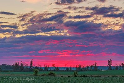 Sunrise Beyond Distant Rideau Canal 90D114816