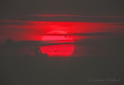 Red Sun Rising DSCN004070