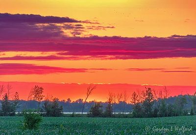 Clouded Sunrise Beyond Distant Rideau Canal 90D116345-9