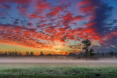 Sunrise Beyond Ground Fog 90D116830