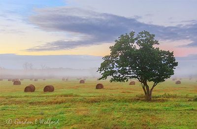 Bales & Ground Fog Beyond Lone Tree 90D117917-21