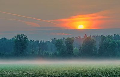 Clouded Sunrise Beyond Ground Fog 90D119415-9