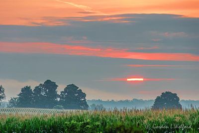 Clouded Sun Rising Beyond Cornfield 90D119365