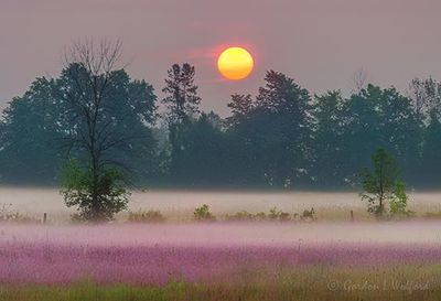 Sunrise Beyond Ground Fog 90D119776-80