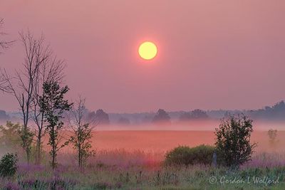 Rising Sun Beyond Distant Ground Fog 90D120730