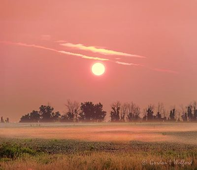 Sunrise Beyond Wispy Ground Fog 90D120835
