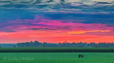 Clouded Sunrise Beyond Pasture 90D121427-31