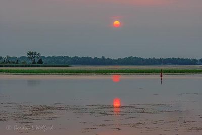 Red Sun Rising 90D123338