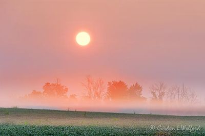 Sunrise Beyond Ground Fog 90D123476