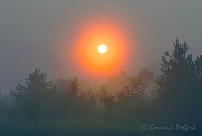 Sunrise Through Fog 90D123503-7