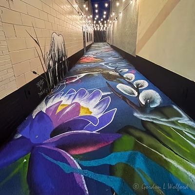 Walkway To Offices & Parking Art (iPhone14-3475)