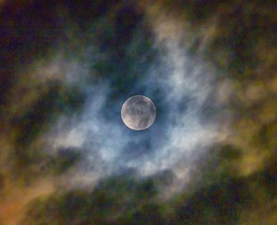 Clouded Sturgeon Blue Moon DSCN011160