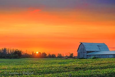 Sunrise Beyond Field & Barn 90D125576-80