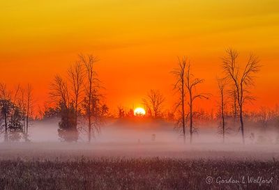 Sunrise Beyond Ground Fog 90D126056-60