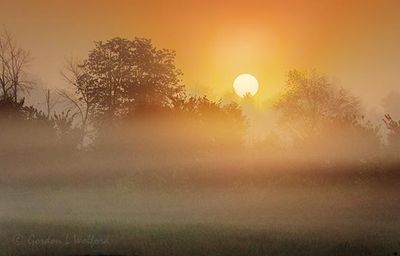 Sunrise Through Fog 90D127173