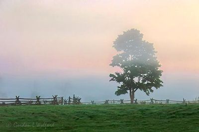 Fog Beyond Split-Rail Fence & Lone Tree At Dawn 90D127244