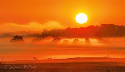 Rising Sun Beyond Ground Fog 90D127564