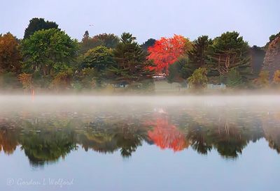 Autumn Tree Beyond Misty Lower Reach 90D127208