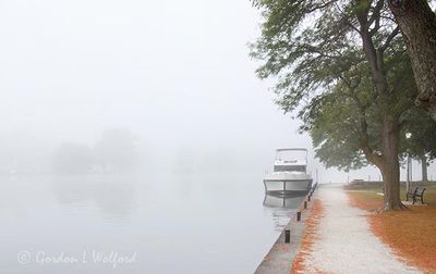 Foggy Victoria Canal Basin DSCN014297
