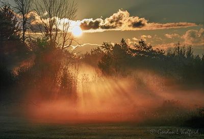 Sunlit Ground Fog 90D128937-8
